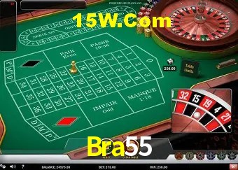 Bra55 Salvador - Support