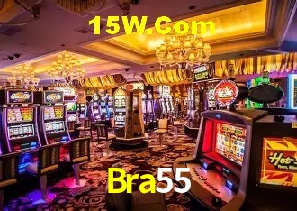 Bra55 - User Statistics