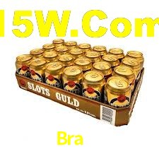 Programa VIP Bra55
