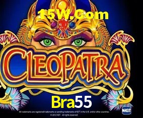 Bra55 Brasília - Security